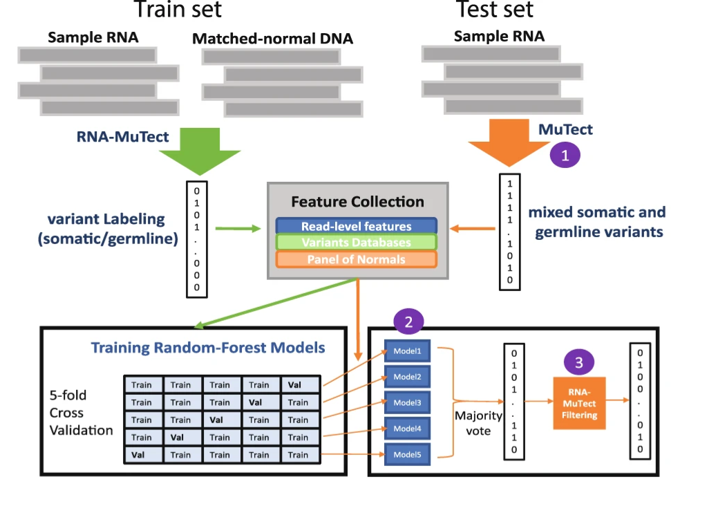 New paper published in Nature Communications